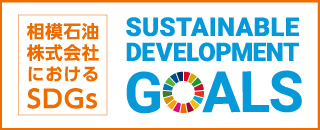 sdgs